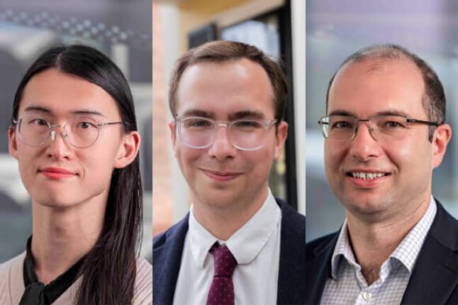 Binxu Wang, Jacob A. Zavatone-Veth, and Cengiz Pehlevan.