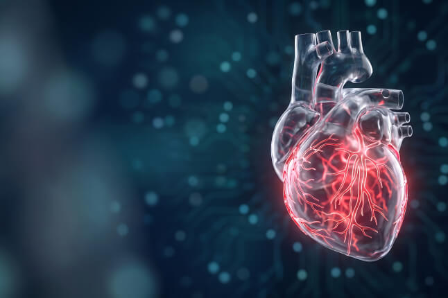 A 3D digital rendering of a transparent human heart with glowing red coronary blood vessels against a dark blue, digital circuit background.