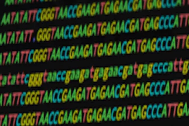 Computer Science for Data Science