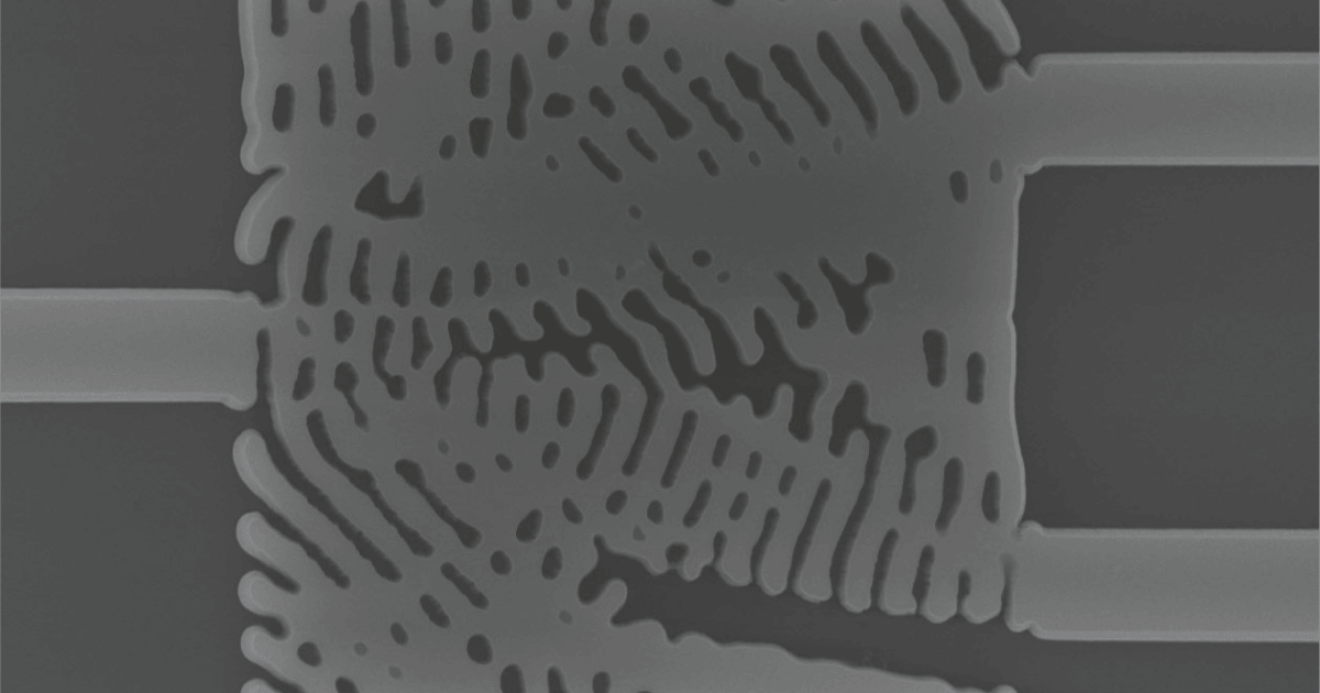 Algorithm-Designed Photonic Circuits Beyond Human Intuition