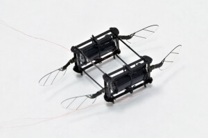 An image of a microrobot with four wings and two, soft actuators.