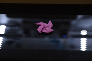 image of a keratin sheet folded into a complex origami star