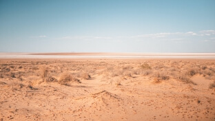 image of drylands