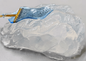 image of the hydrogel electrode