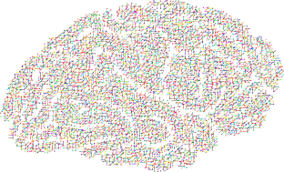image of brain with connections