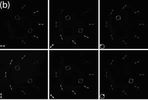 digital image sensor reflects this desired behavior for six incident polarization states