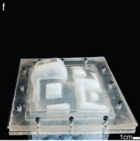 Image of inflated membrane