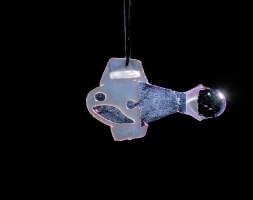 image of biohybrid fish