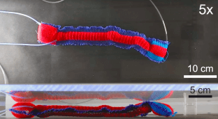 Inchworm inspection robot