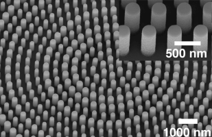 Scanning electron microscope image of the metasurface that generated the point singularities