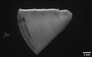 3D-printed heart muscle beating through fiber-infused ink