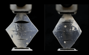 Picture of cracks growing in the left sample while staying intact in the right sample