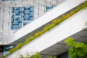 flowers outside SEC building on Harvard campus