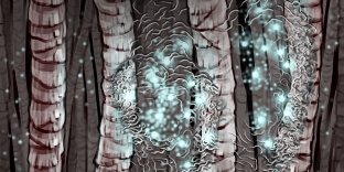 An artist's depiction of hair denaturing when ions are present.