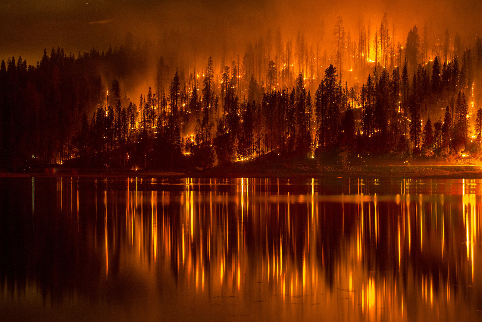 Trump prošao pokraj buduće nobelovke za mir kao pokraj turskog groblja - Page 9 Westfires91